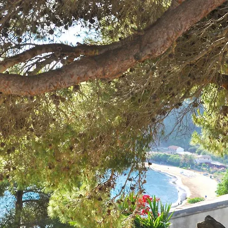 With Swimming Pool And Sea View - * Пелекас
